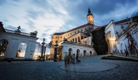 Mikrosvín Mikulov