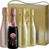 Bottega Miniset 4 x 0.2L
