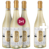 Gavi DOCG "Grande Collezione" 3+1