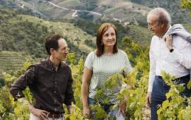 Španielske vinárstvo Torres - Najobdivovanejšia značka vína na svete v roku 2024