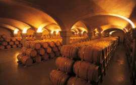 Výroba vína, ako sa vyrába víno