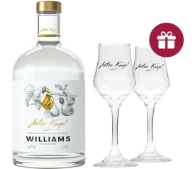 Anton Kaapl Williams + darček