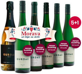 Gurdau fľašky 5+1