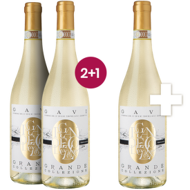Gavi DOCG "Grande Collezione" 2+1