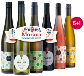 Špalkove fľašky 5+1