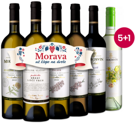 Mikrosvín fľašky 5+1