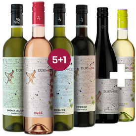 TOP Dürnberg, Rakúsko 5+1