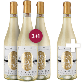Gavi DOCG "Grande Collezione" 3+1