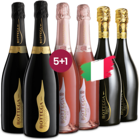 Bottega 5+1
