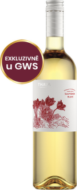 Sauvignon, pozdní sběr, "Koniklec", Thaya