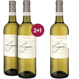 Lugana DOC Seveglia 2+1