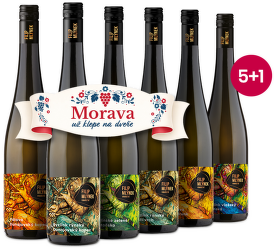 Mlýnkove fľašky 5+1