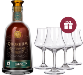 Quorhum Encanto 13 Sistema Solera + darček
