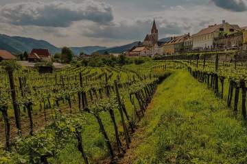 Festival rakúskych vín v Global Wines & Spirits
