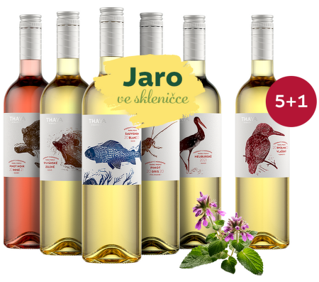 Jar v pohári: Thaya 5+1