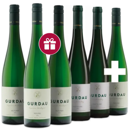 Gurdau 5+1