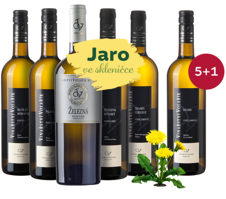 Jar v pohári: Volařík 5+1