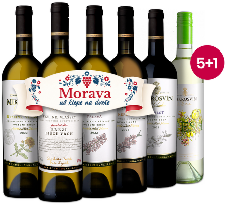 Mikrosvín fľašky 5+1