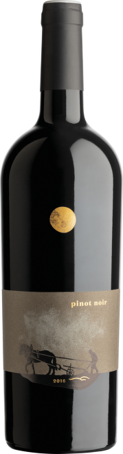 Pinot Noir Icone, limitovaná edice, Sedlák