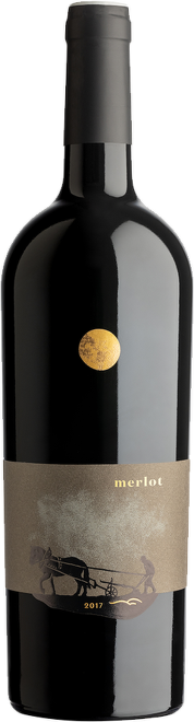 Merlot, barrique, Sedlák