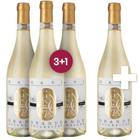 Gavi DOCG "Grande Collezione" 3+1