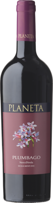 Plumbago Nero d’Avola Sicilia DOC