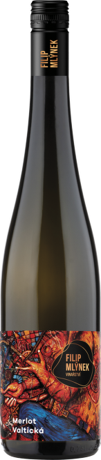Merlot, výběr z hroznů, "Plotny", Mlýnek