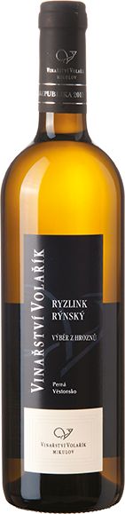 Ryzlink rýnský, pozdní sběr, "Perná", Volařík