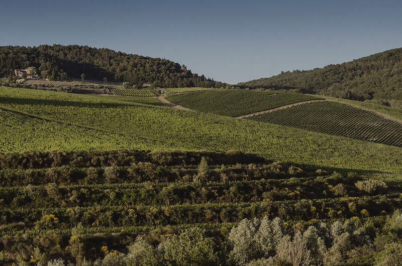 Tenuta Tignanello (Antinori)