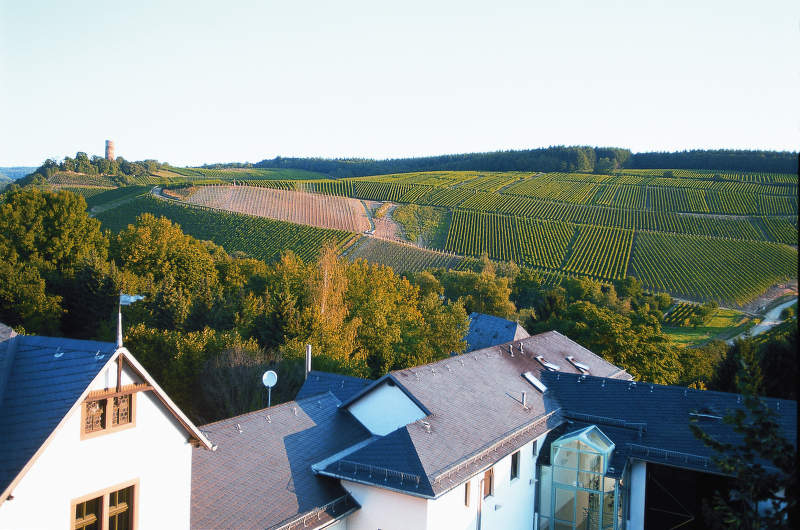 Weingut Robert Weil