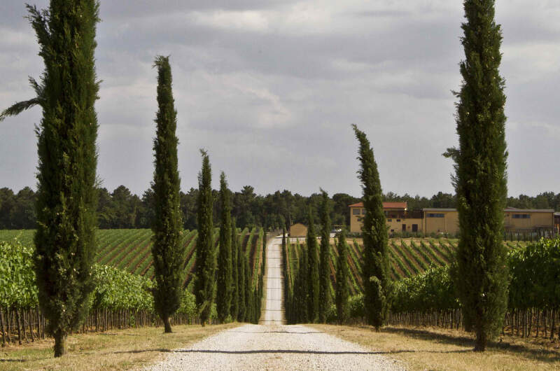 Tenuta La Braccesca (Antinori)